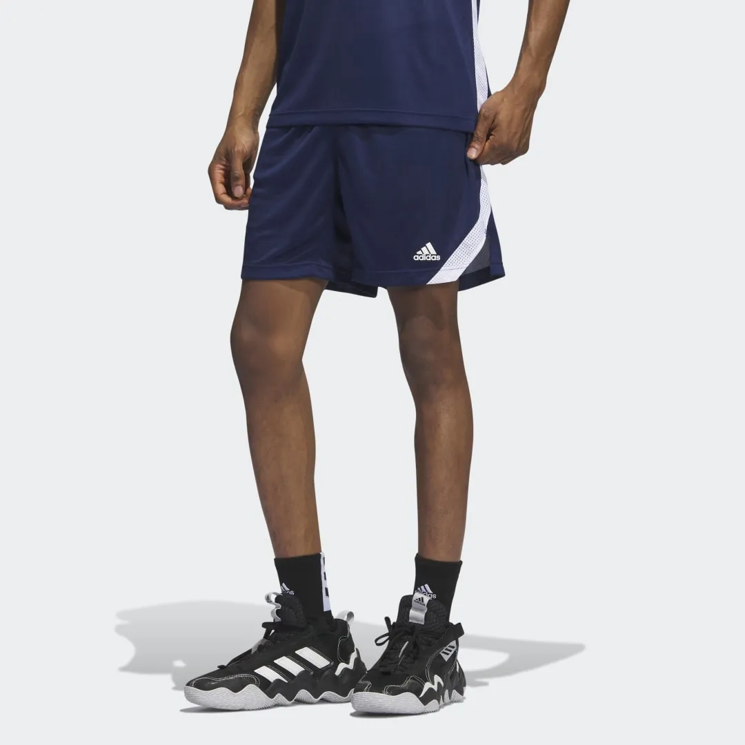 adidas Originals Icon Squad Shorts